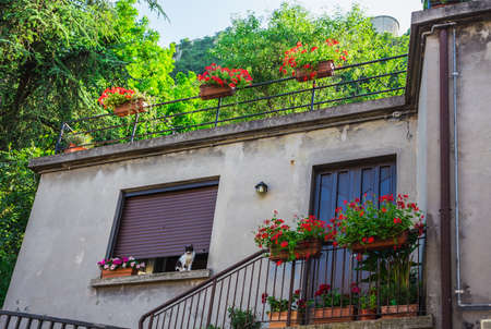 Windows and doors in an old house decorated with flower pots and flowersの写真素材