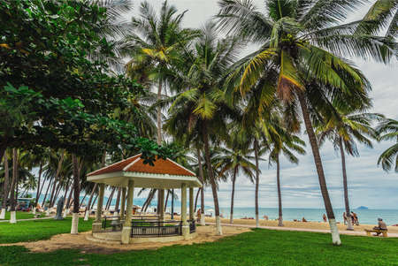 guest houses among palm trees, Southern Vietnamのeditorial素材