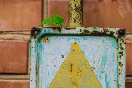 old electrical panel on the ancient wallの写真素材