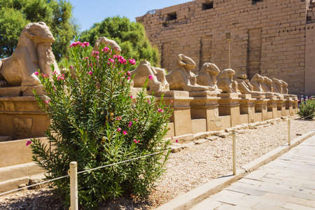 Ancient ruins of Karnak temple in Egypt in the summer of 2012の写真素材