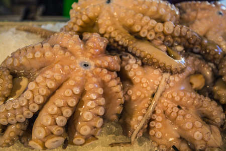 fresh octopus on a fish market in Venice