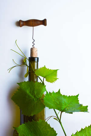 corkscrew and cork from a bottle of wine