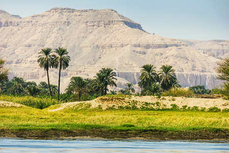 Palms and dwelling houses on the banks of the Nile in Egyptの写真素材