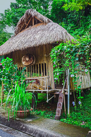 hut on the road in the jungle with palm trees on the  Phuket in Thailandの写真素材