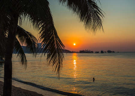 A view of a beach with palm trees  at sunset. Thailand.の写真素材
