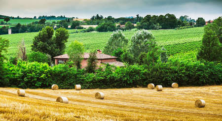 rural landscape with houses standing alone in the province of Tuscany in Italyのeditorial素材