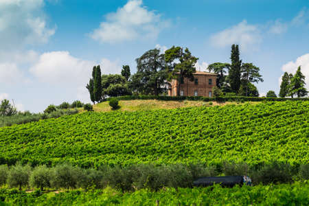 rural landscape with houses standing alone in the province of Tuscany in Italyのeditorial素材