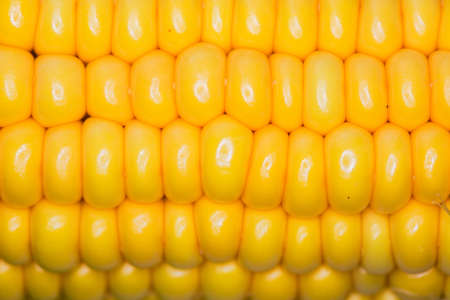 Corn macro large grains as background textureの写真素材