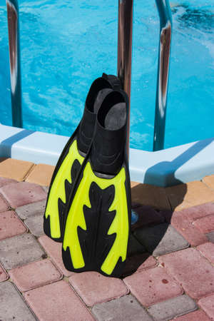 Fins for swimming at the poolの写真素材
