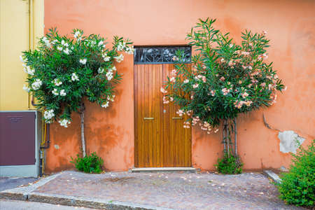 Windows and doors in an old house decorated with flower pots and flowersの写真素材