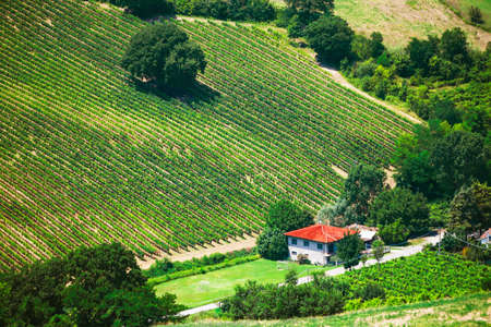 rural landscape with houses standing alone in the province of Tuscany in Italyのeditorial素材