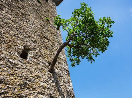 The woll of Guaita fortress is the oldest and the most famous tower on San Marino.の写真素材