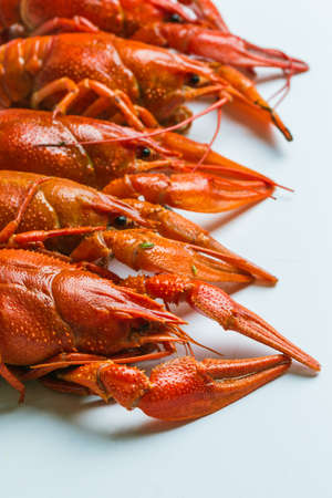 The Boiled crawfish on a white backgroundの写真素材