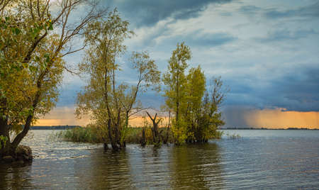 Trees at sunset on the Volga river in the fallの写真素材