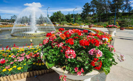 The City flower garden in Dalat, Vietnamの写真素材