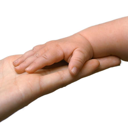 The Family Hands, Mother and Father Handの写真素材