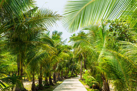 Beautiful tropical beach at island Koh Chang , Thailand.の写真素材