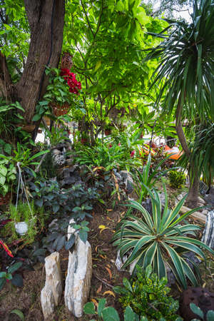 Tropical Botanical Garden in Vietnam at the midst of tourist seasonの写真素材