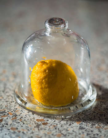 Fresh ripe lemon is displayed in a glass domeの写真素材
