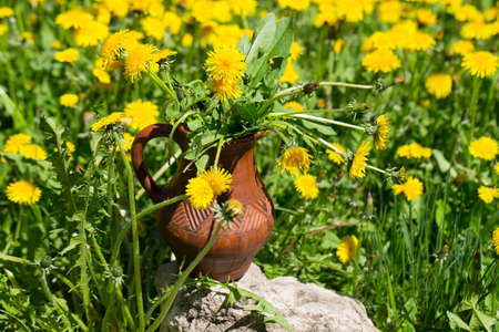 bouquet of blooming dandelions in a jar on the background of meadowsの写真素材