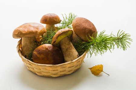 Basket with porcini mushrooms isolated on a white backgroundの写真素材