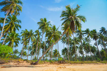 Beautiful tropical beach at island Koh Chang , Thailand.の写真素材