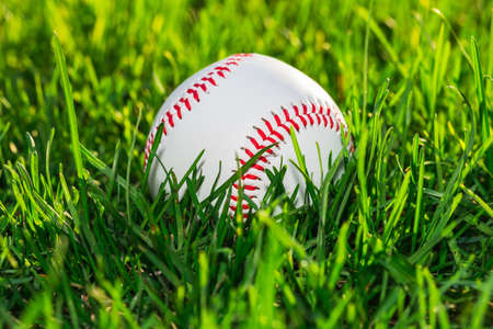 Close up Side of Baseball Ball on Grass Fieldの写真素材