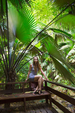 tropical jungles of South East Asia. Thailandの写真素材