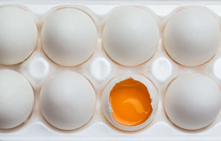 Chicken eggs in the cassette box on a white backgroundの写真素材