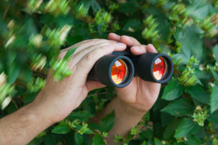 watching from the bushes with binocularsの写真素材