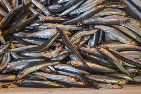 Sale of fish and seafood in the eastern markets in Turkey. Backgroundの写真素材