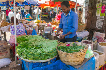 India, Goa. March 10, 2017. Leaves of betel (pan masala) on the market in Goaのeditorial素材