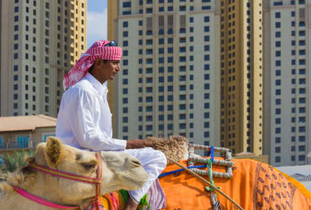 UAE, November 16, 2012. Arab with a camel on the beach in Dubaiのeditorial素材