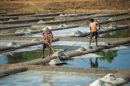 India, Goa, March 14 2017. Production of salt on a farm in Indiaのeditorial素材