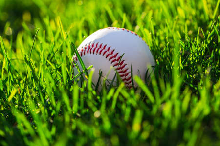Close up Side of Baseball Ball on Grass Fieldの写真素材