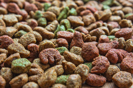 texture of food for cats