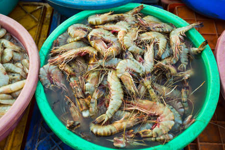 Sale of shrimp in the markets of different cities of Goa and other states of Indiaの写真素材