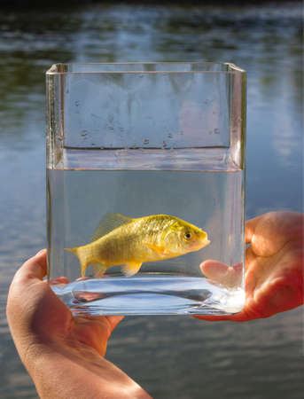 Small fish in a glass jar on the background of the lake