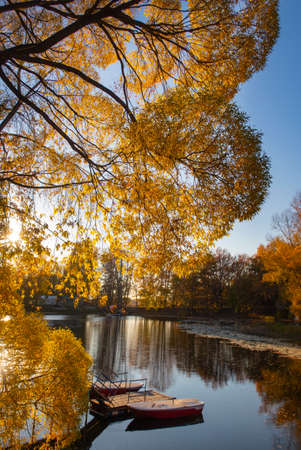 Autumn trees at sunset by the lakeの写真素材