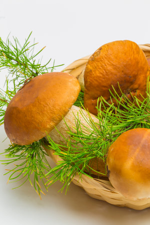 Basket with porcini mushrooms isolated on a white backgroundの写真素材