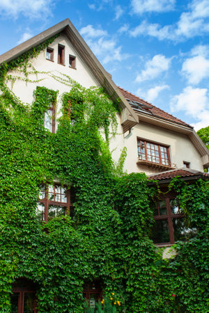Cottage in a suburban park area in Finlandの写真素材