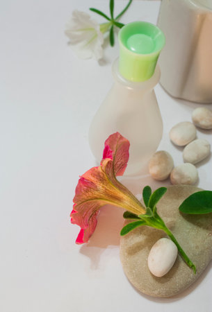 framing of a flower and a bottleの写真素材