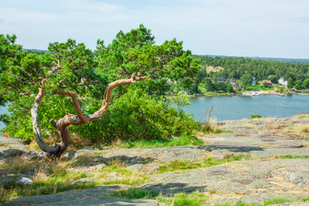 Lake among the rocks in the forests of Finlandの写真素材