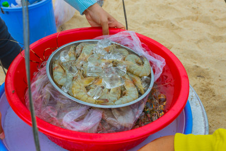Fresh seafood photographed in fish marketの写真素材