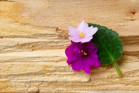 Flower with leaves on wooden backgroundの写真素材