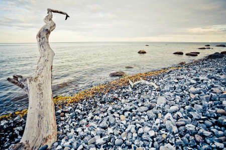rocky beach on the island of ruegen, germanyの写真素材
