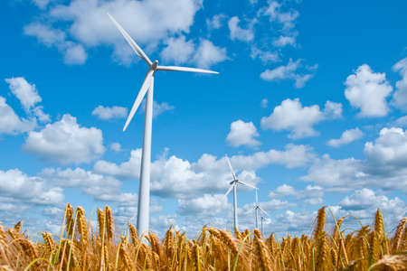 wind turbines in rural area in a wheat field in front of a beautiful blue skyの写真素材