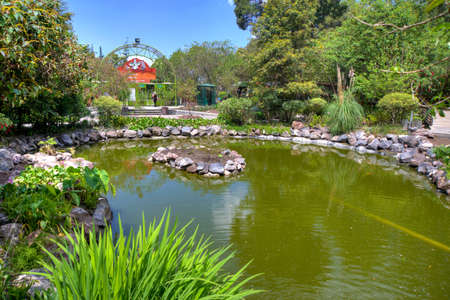 Little water pond in a botanical park, on a sunny morning, in Quito, Ecuadorの写真素材