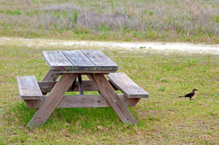 Picnic table at a local Florida beach on a cloudy and overcast day.の写真素材