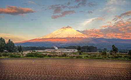 Cotopaxi volcano with sunset light shinning on it's slopes, and crops in the foreground, Ecuador.の写真素材
